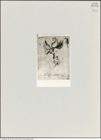 Vorderseite von bh519926_recto