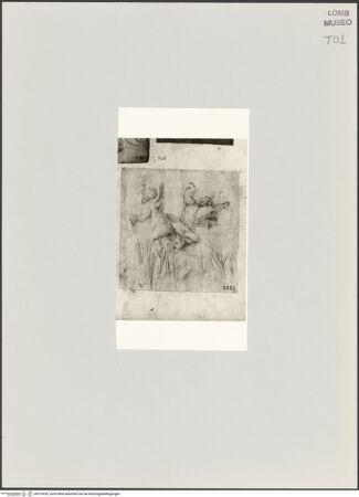 Vorderseite von bh519929_recto