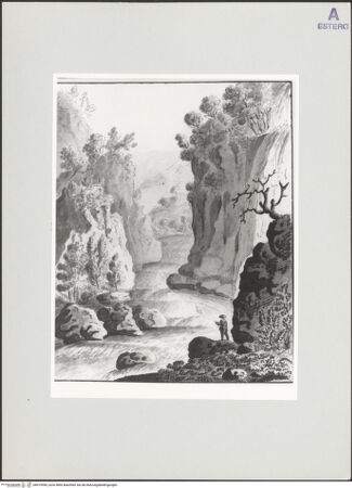 Vorderseite von bh519990_recto