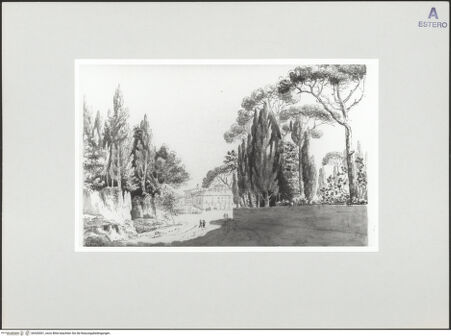 Vorderseite von bh520001_recto