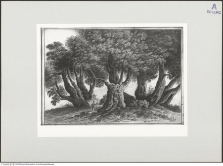 Vorderseite von bh520006_recto