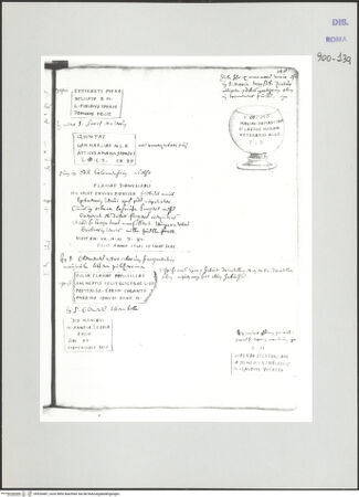 Vorderseite von Biblioteca Apostolica Vaticana [https://www.deutsche-digitale-bibliothek.de/content/lizenzen/rv-ez/] Codex Peiresc (Menestrier) nach dem Aantekenboekje des Philips van WingheAntike Grabplatten und Urne - , bh520487_recto. Foto.