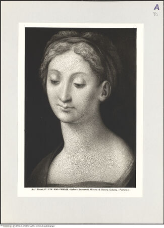 Vorderseite von Alinari [https://www.deutsche-digitale-bibliothek.de/content/lizenzen/rv-ez/] Bildnis der Vittoria Colonna - Gesamtansicht, bh520673_recto. Foto.