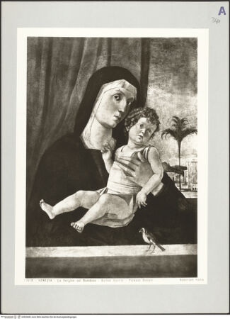 Vorderseite von bh520685_recto