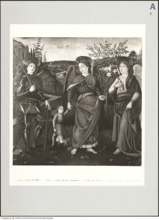 Vorderseite von bh520695_recto