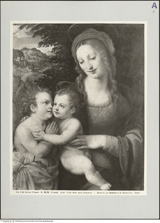 Vorderseite von bh520699_recto