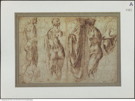 Vorderseite von bh520872_recto