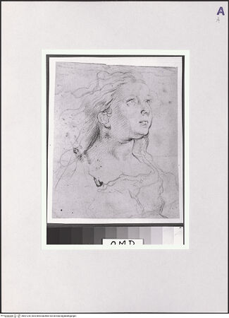 Vorderseite von bh521226_recto