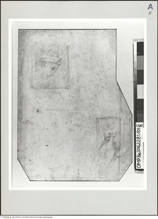 Vorderseite von bh521231_recto