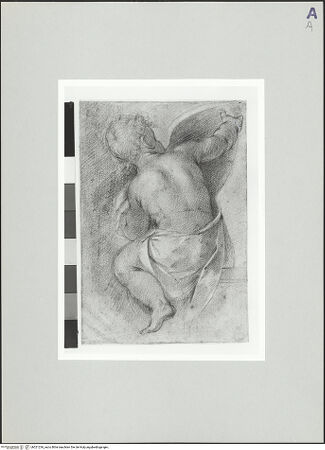 Vorderseite von bh521236_recto