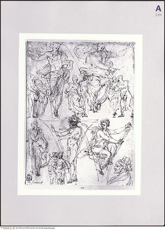 Vorderseite von bh521499_recto