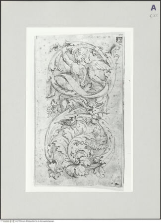 Vorderseite von bh521503_recto