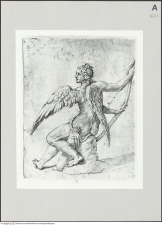 Vorderseite von bh521516_recto