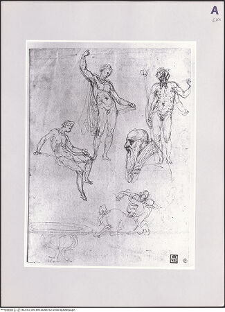 Vorderseite von bh521523_recto