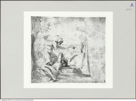 Vorderseite von bh521746_recto