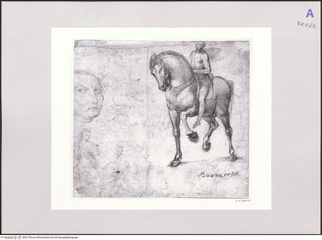 Vorderseite von bh521760_recto