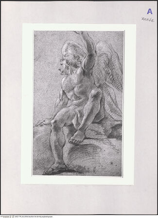 Vorderseite von bh521778_recto