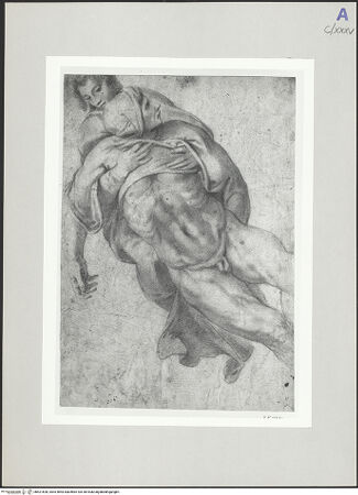 Vorderseite von bh521828_recto