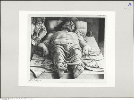 Vorderseite von bh521876_recto