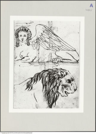 Vorderseite von bh521878_recto