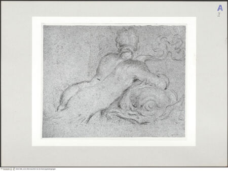 Vorderseite von bh521880_recto