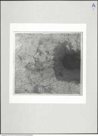 Vorderseite von bh521884_recto