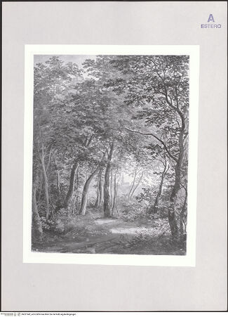 Vorderseite von bh521942_recto