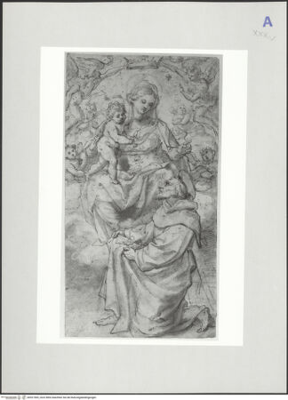 Vorderseite von bh521969_recto