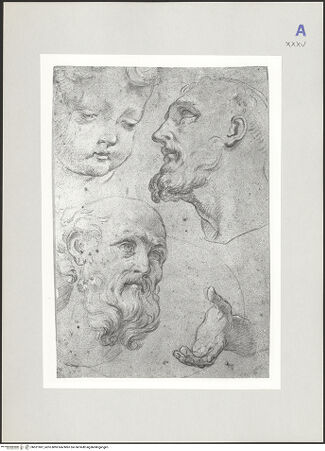 Vorderseite von bh521987_recto