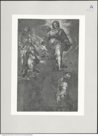 Vorderseite von bh522002_recto