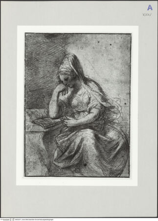 Vorderseite von bh522011_recto