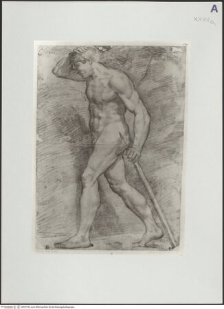 Vorderseite von bh522165_recto