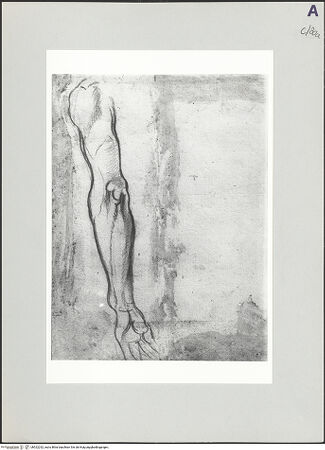 Vorderseite von bh522232_recto