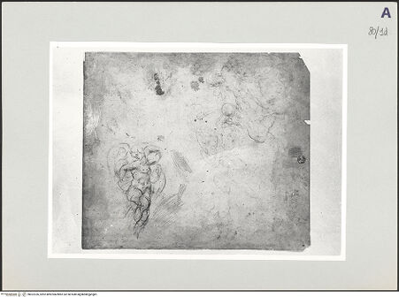 Vorderseite von bh522236_recto