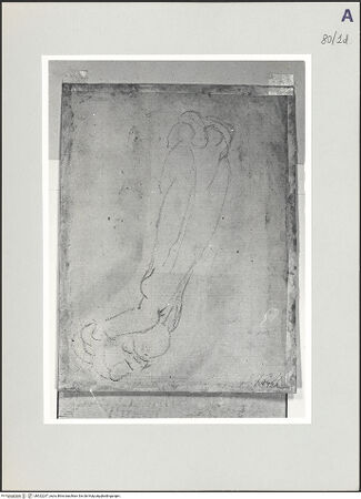 Vorderseite von bh522237_recto