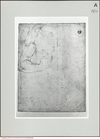 Vorderseite von bh522238_recto