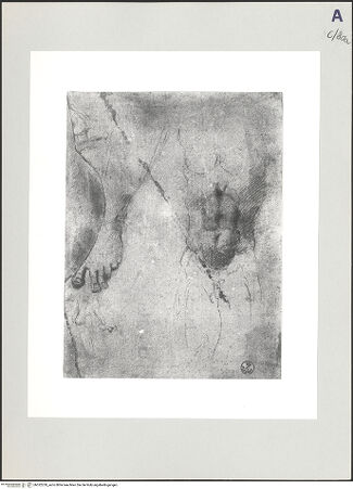 Vorderseite von bh522239_recto