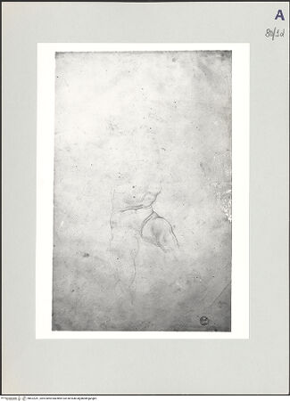 Vorderseite von bh522241_recto