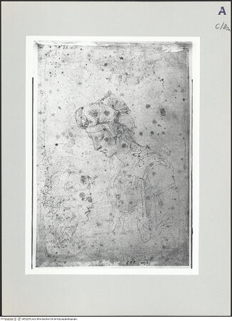 Vorderseite von bh522255_recto