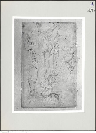 Vorderseite von bh522262_recto