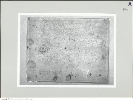 Vorderseite von bh522268_recto