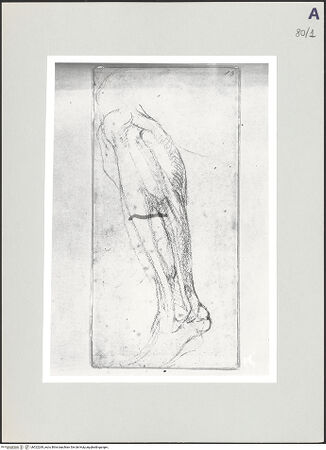 Vorderseite von bh522269_recto