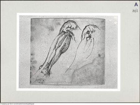 Vorderseite von bh522271_recto