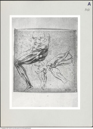 Vorderseite von bh522272_recto