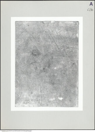 Vorderseite von bh522275_recto