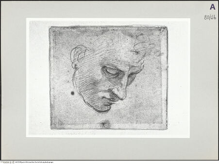 Vorderseite von bh522288_recto