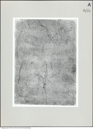 Vorderseite von bh522335_recto