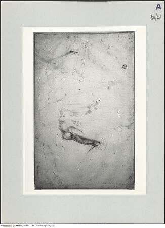 Vorderseite von bh522355_recto