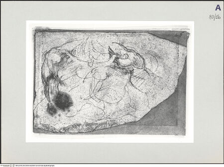 Vorderseite von bh522359_recto