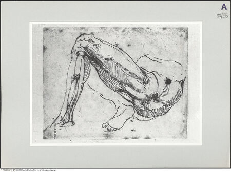 Vorderseite von bh522360_recto